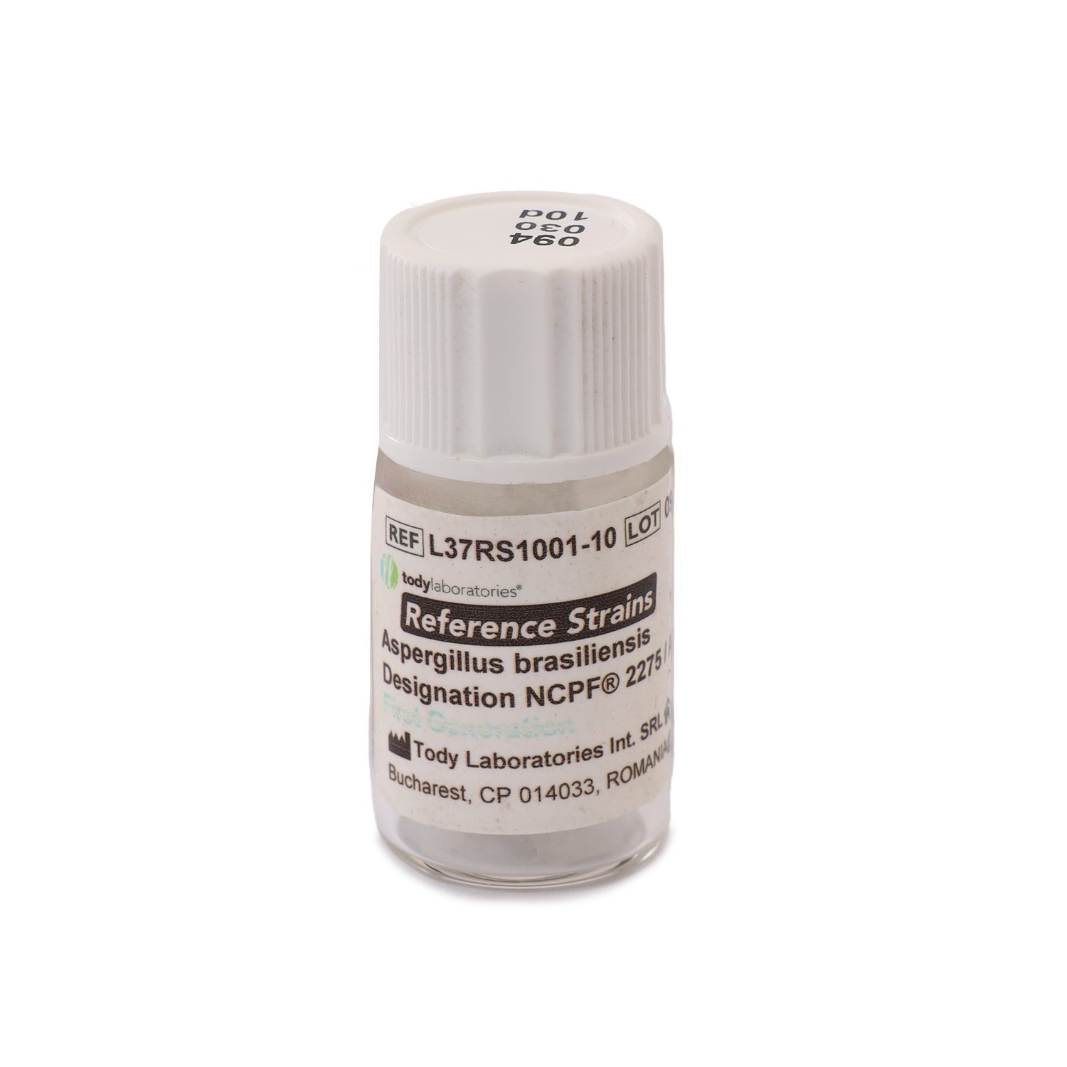 Aspergillus brasiliensis ATCC® 16404 / NCPF® 2275
